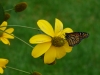 p1180815