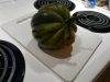 p1130361