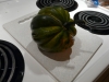 p1130362
