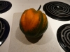 p1130366