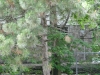 p1120686