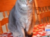 dscn0145