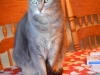 dscn0146