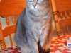 dscn0147