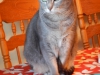 dscn0148