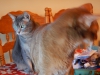 dscn0154