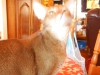 dscn0155
