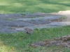 dscn0420
