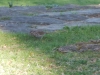 dscn0425