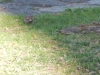 dscn0426