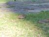 dscn0428