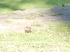 dscn0432