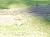 dscn0434