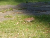dscn0435