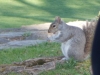 dscn0439