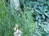 p1090881