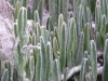 p1090937