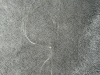 p1140980