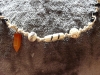p1150187