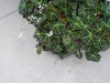 p1100122