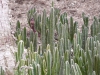 p1100136