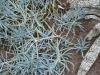 p1100139