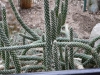 p1100143