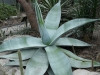 p1100148