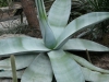 p1100149