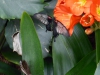 p1100178