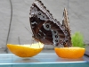 p1100200