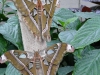 p1100214