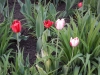 dscn0648