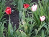 dscn0650