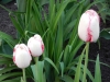 dscn0654