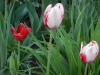 dscn0656