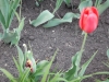 dscn0660