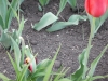 dscn0662
