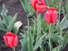 dscn0664