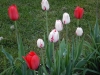 dscn0666
