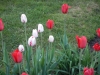 dscn0667