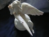 p1150575