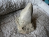 p1140906