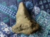 p1140910