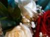 p1150997