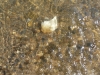 p1070067