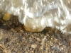 p1070074