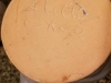 41