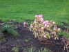 dscn0538