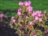 dscn0539